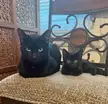 Daddy and baby