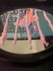 Cocaine pelfie showing a mirror reflection of a gaming PC setup with pink decorative elements.