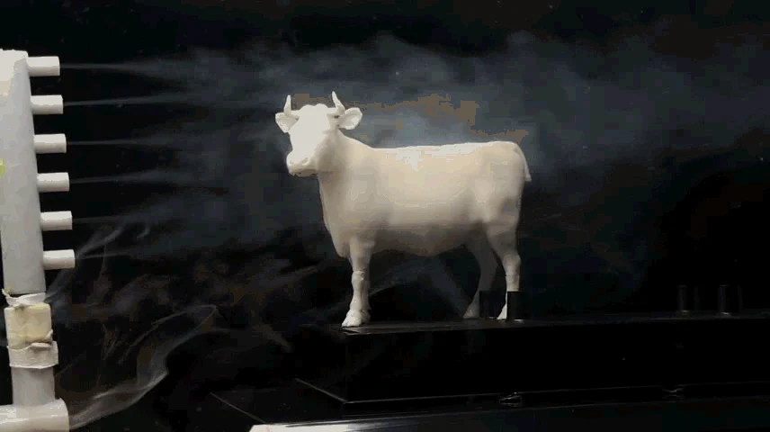 Is anyone curious about the aerodynamics of a cow? To be honest, it