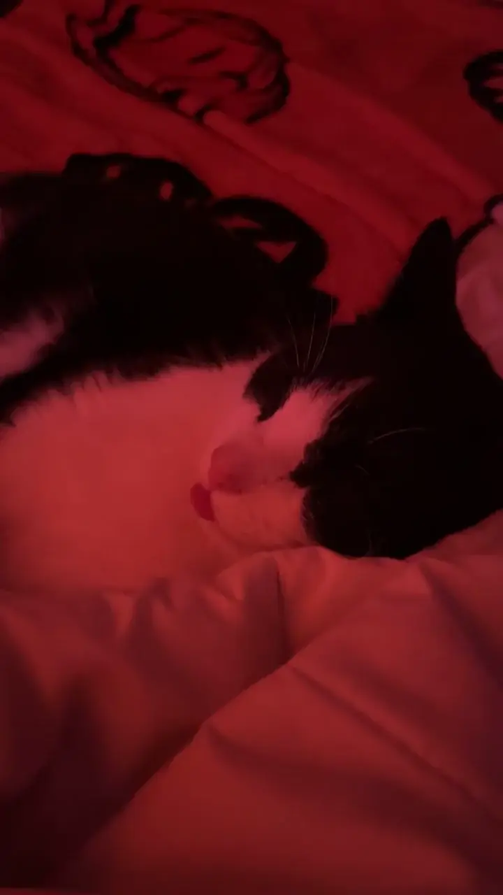 Deep sleep bleps