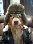 How cute is this?
