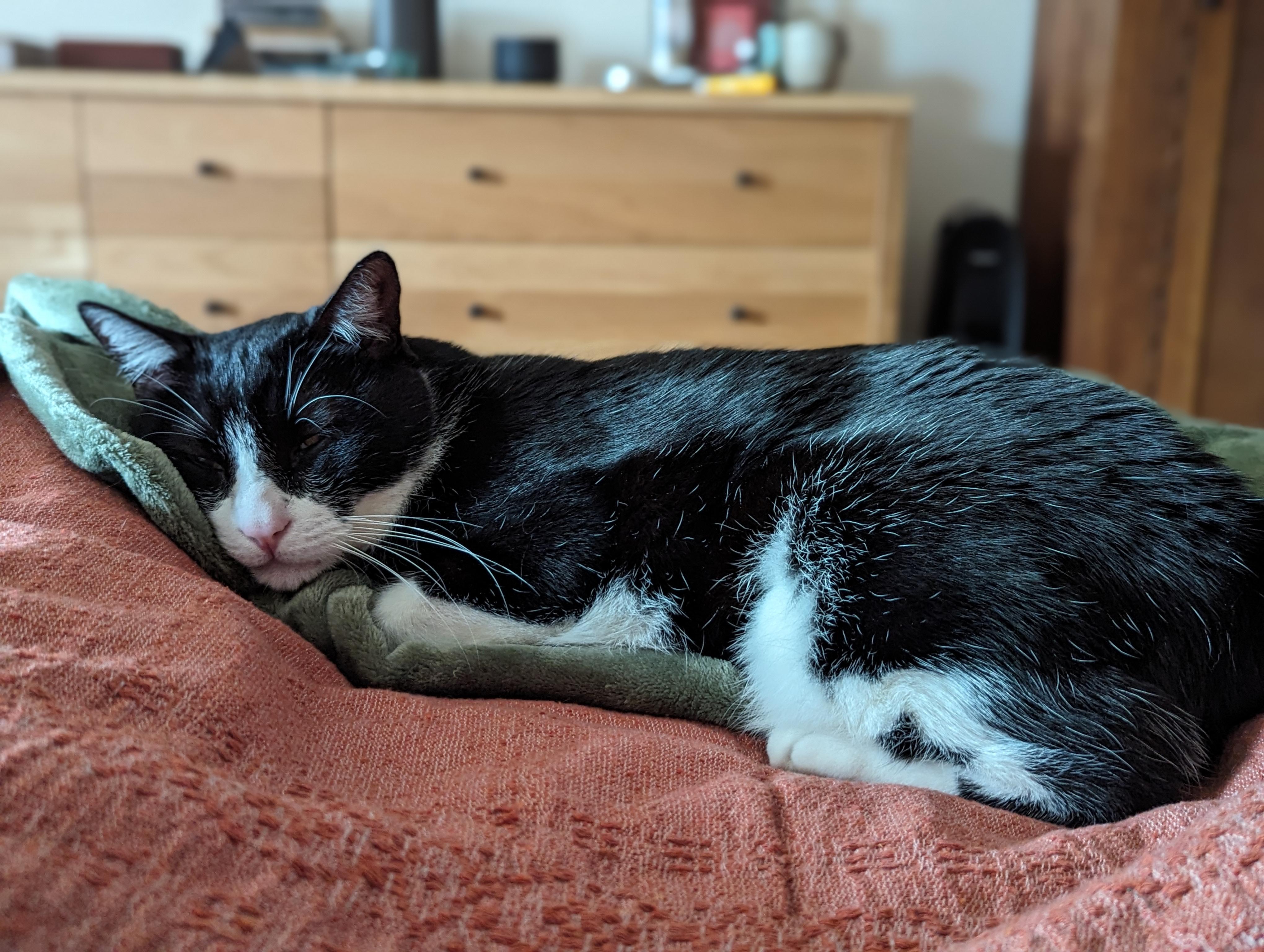 How am I supposed to get out of bed?