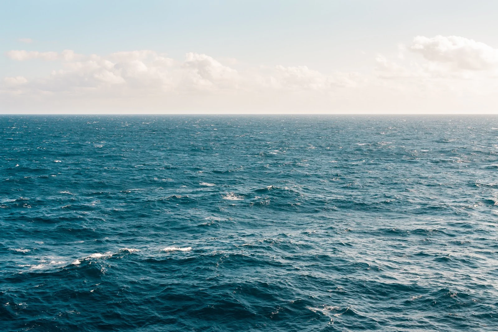 WHAT S THE DIFFERENCE BETWEEN AN OCEAN AND A SEA visual data 8