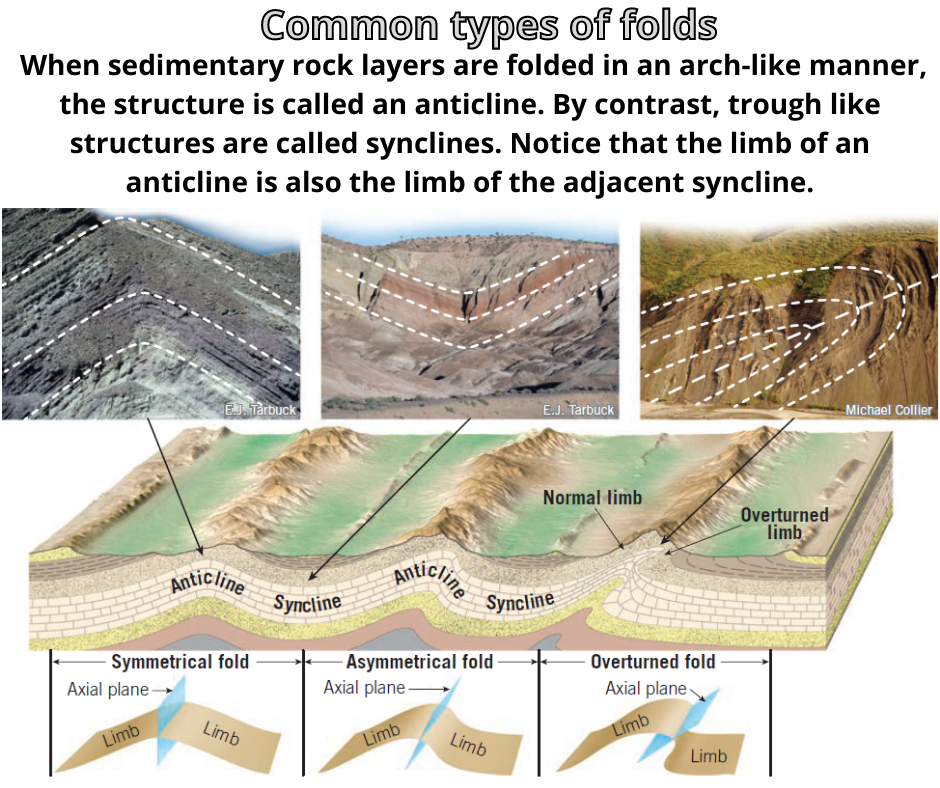Different types of folds | Scrolller