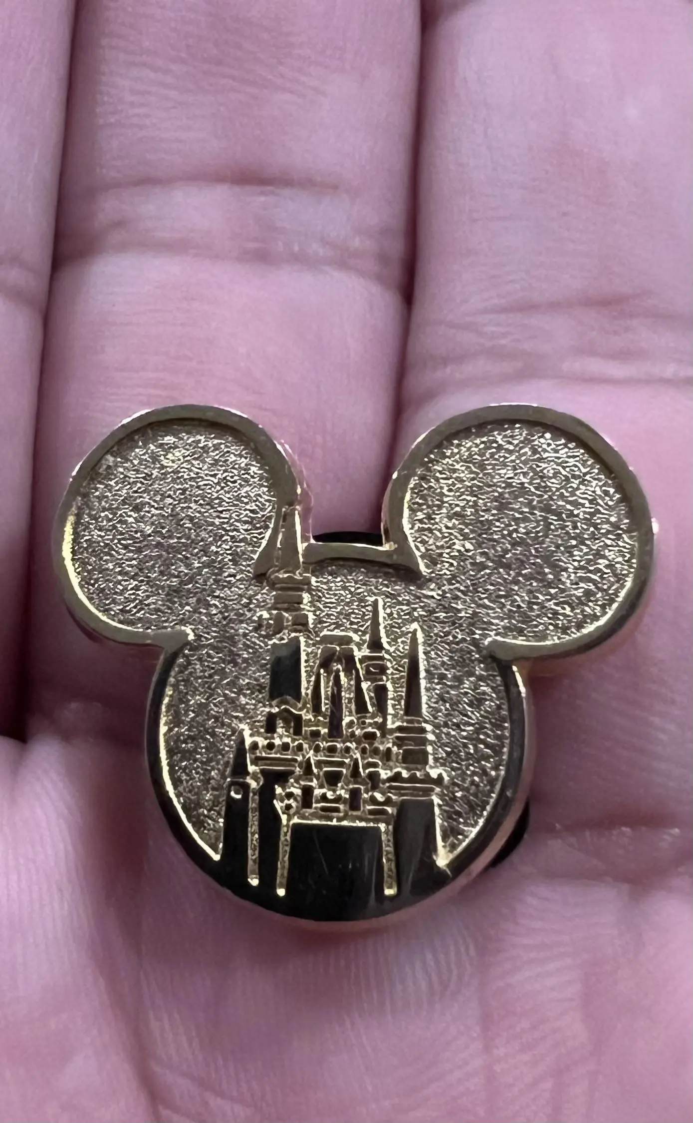 Disney Ambassador pin | Scrolller