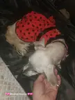 Do you like my new dress??