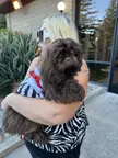 Do you think this puppy’s coat will stay brown? 