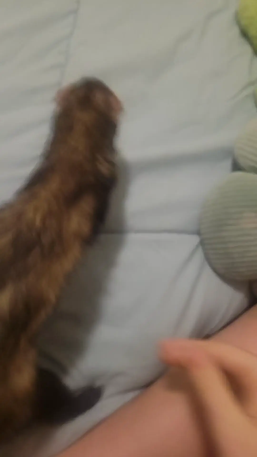 Does she seem underweight?