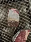 Does this fillet have some sort of membrane?