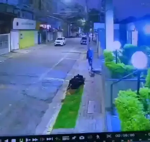 Dog saves man from attackers