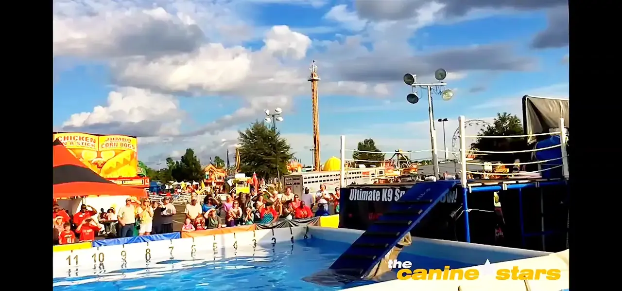 Dog vs. Jump = World Record
