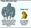 Dogs now have a sigma male mindset.