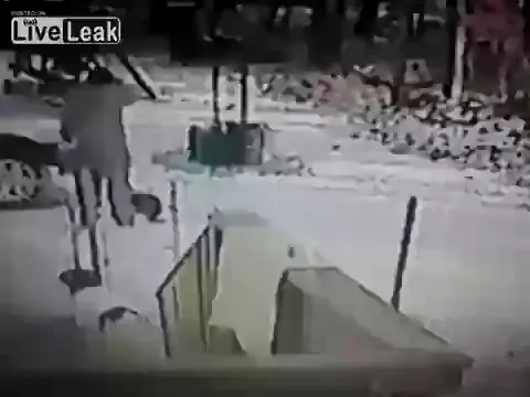 Don't play stupid games with kitty
