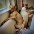 Draw me like one of your French girls