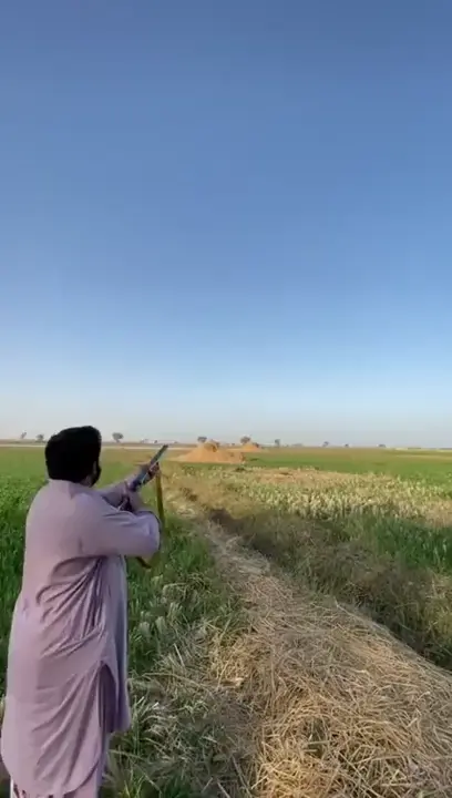 Duck hunt