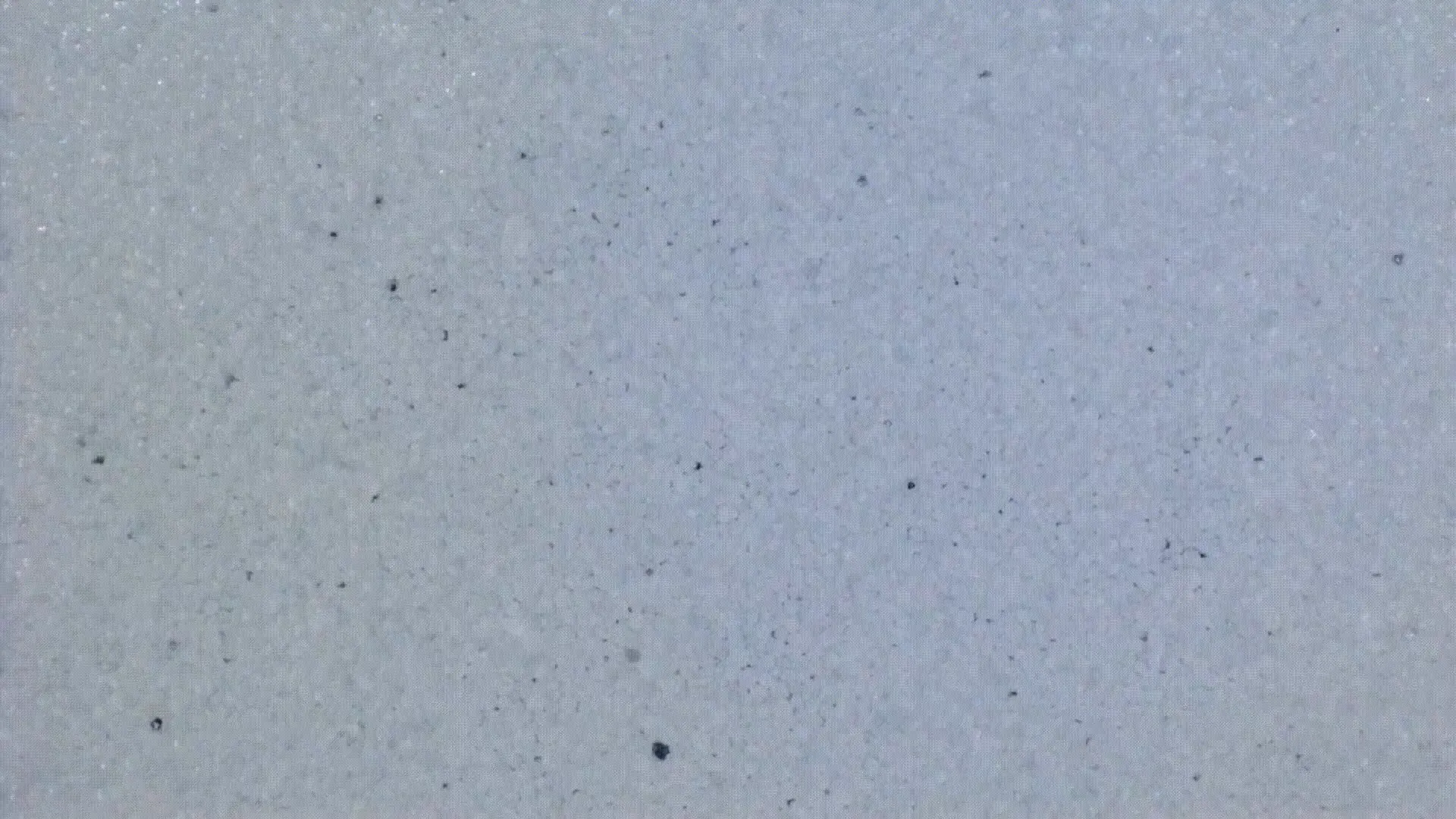 E-reader display under the microscope