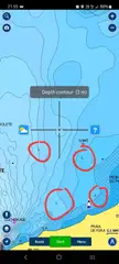 What does "L" means on Navionics charts?