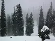 Gulmarg in Kashmir, India
