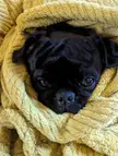 Cosy and warm