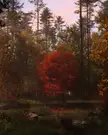 A Warm Fall Sunset by ASMU (Me)