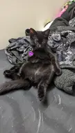 Lucifer zoned out