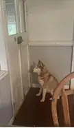 So I guess you want to go walking sweetheart?