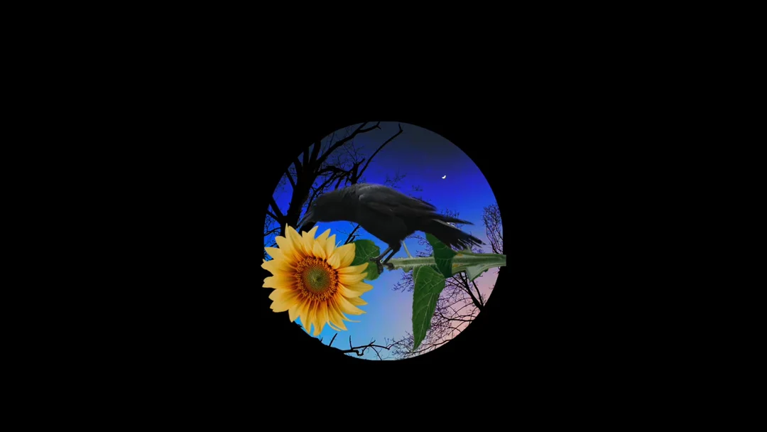 The Crow Calls [Digital]