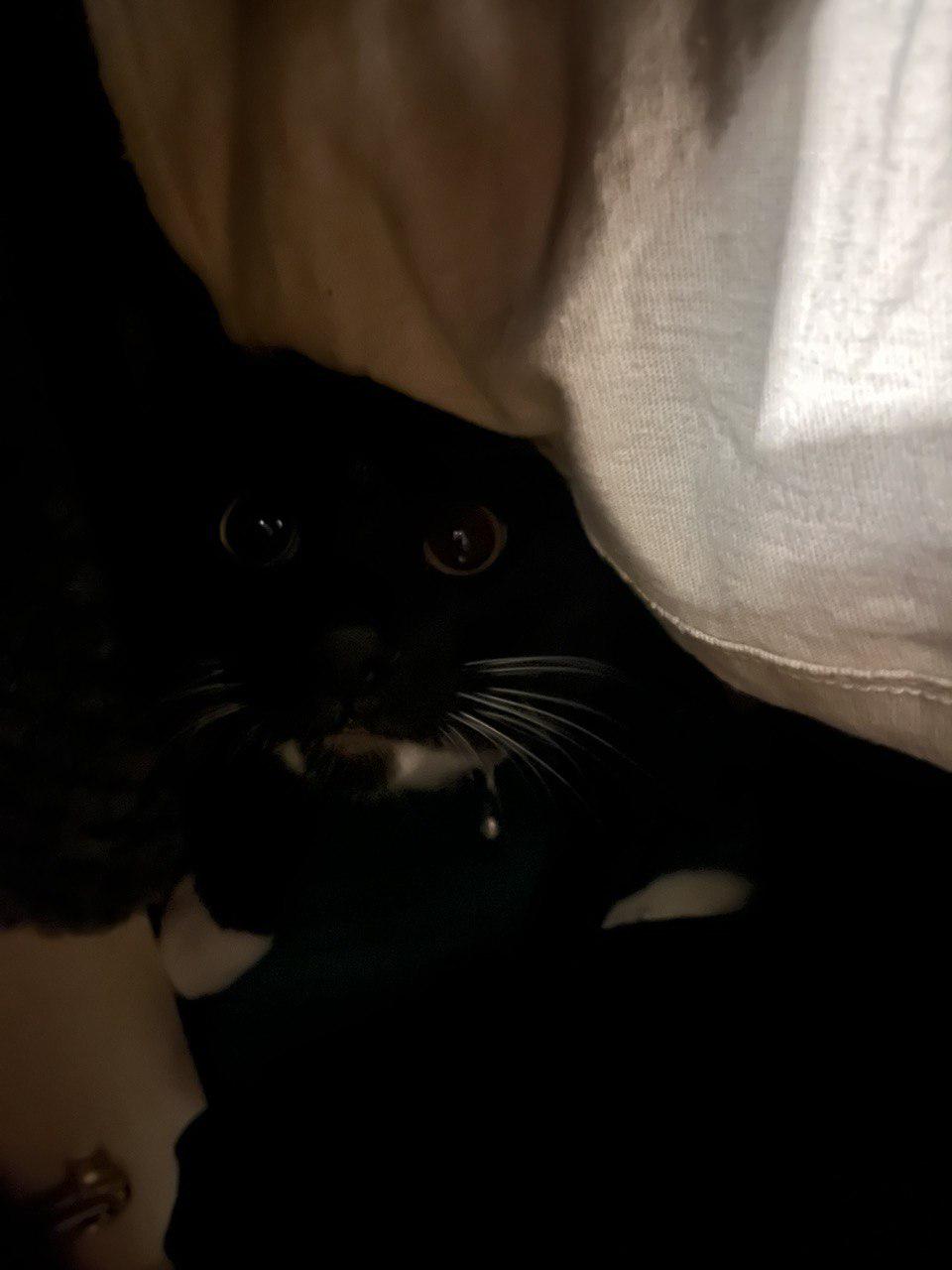 My tuxedo is in the closet 