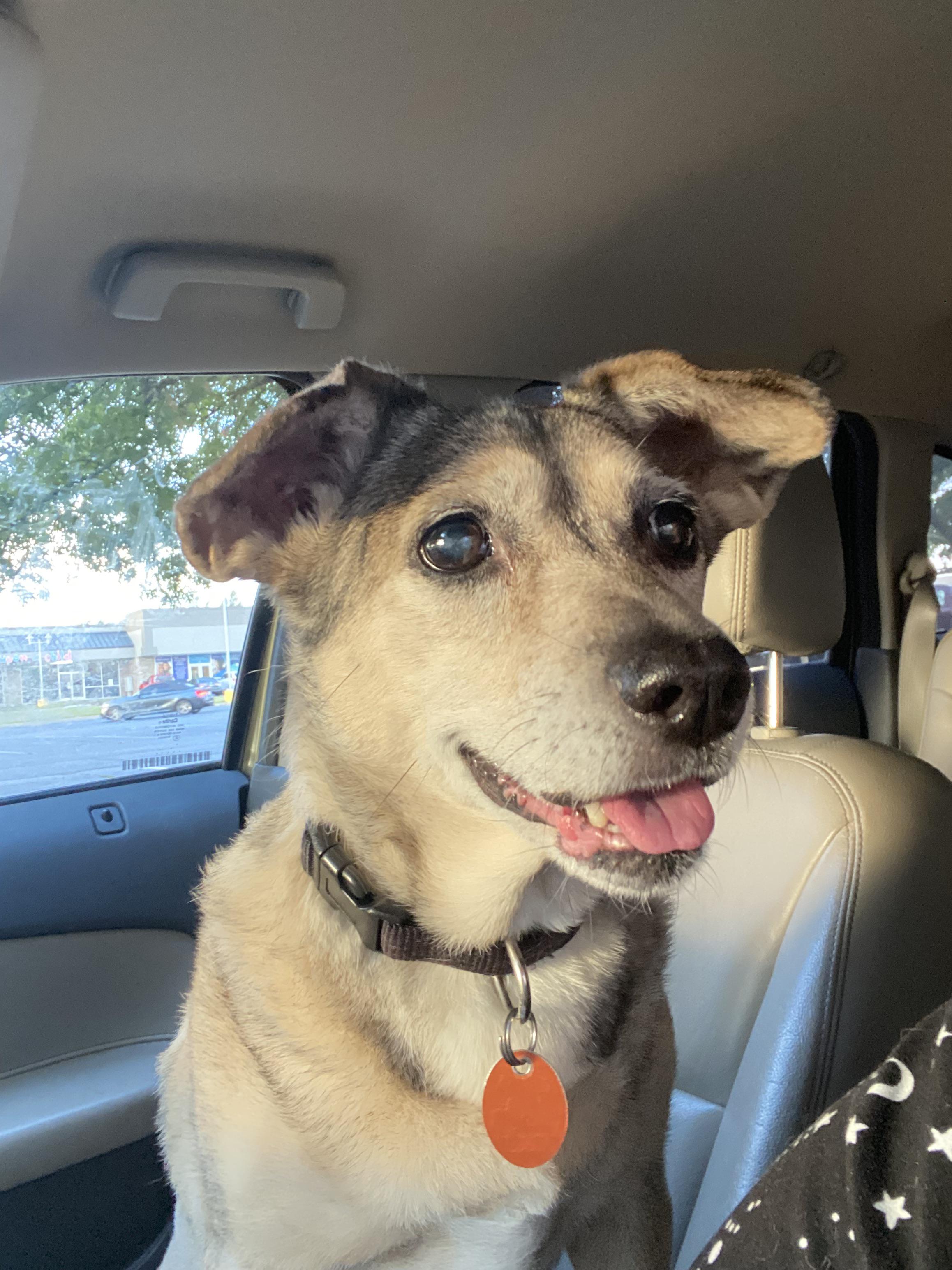 At the Krispy Kreme Drive Thru