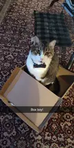 Every box arriving in this house must be cleared by the box boy.