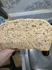 Tried my hand at 50% whole wheat bread. How’s it looking?