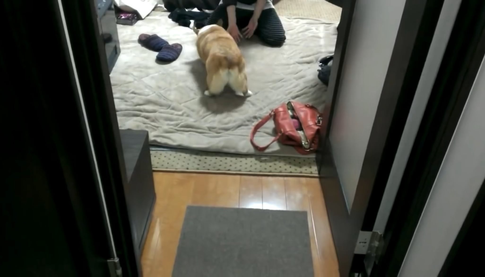 Fluffy Twerking