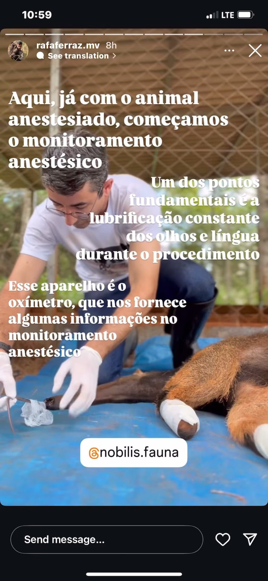 Vet @rafaferraz.mv on Instagram examines an anteater’s whole tongue! It rolls out like a fruit-by-the-foot!