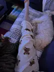 cute