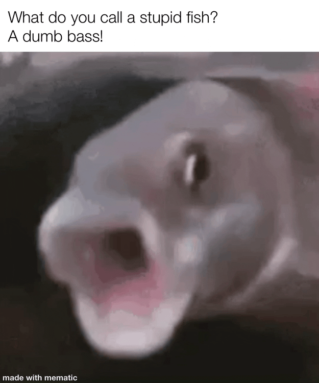 Fish meme