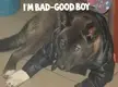 Girls like them!