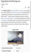 Fun fact: there is a bird called the Taylor Swift bird