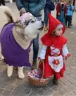 These animals all win the cutest costume contest