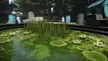 Water lilies from The Division 2 game [1920x1080]