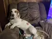 Who does he think he is?