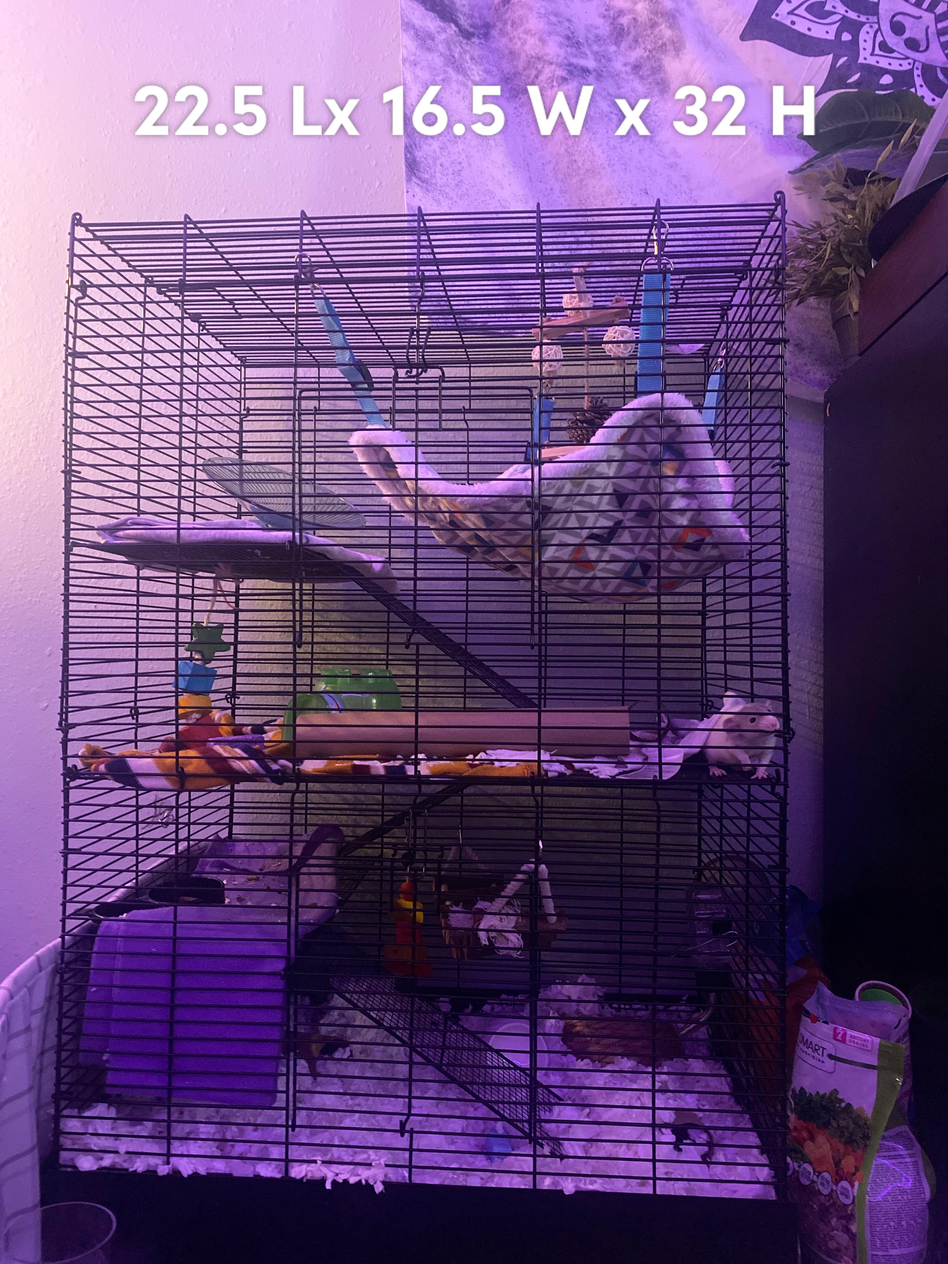How’s my cage for my two rat babies? (4 weeks old)