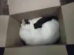 tight fit