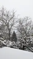 Snowstorm in NJ