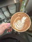 mocha at work the other day
