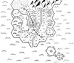 Hand Drawn Hex Map | First Attempt