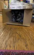 We caught a box of Old Lady!