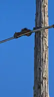Hello... just hangin out.