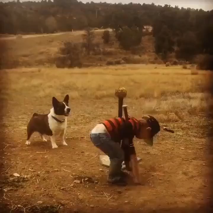 Funny Baby Fail Videos