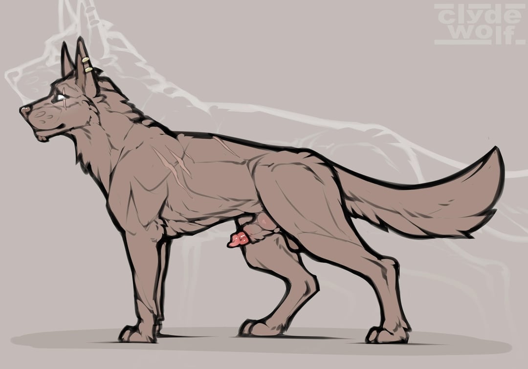 Furry hentai and anthropomorphic animal art featuring busty anime girls in pet play and bondage gear