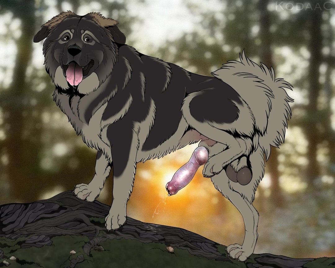 Furry hentai and anthropomorphic animal art featuring busty anime girls in pet play and bondage gear
